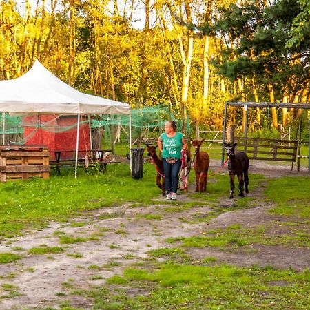 Glamping Z Alpakami Hotel Jankowice  Exterior foto