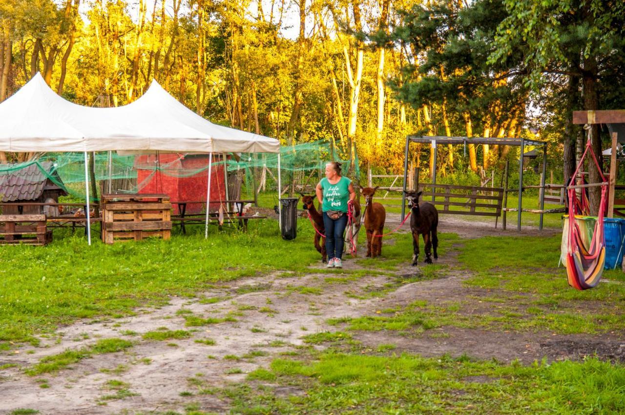 Glamping Z Alpakami Hotel Jankowice  Exterior foto